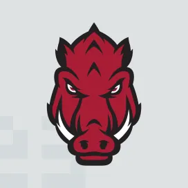 Arkansas razorbacks